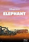 Nonton Film In the Footsteps of Elephant 2020