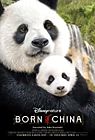 Born in China 2017