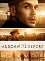 The Auschwitz Report 2021