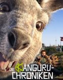 The Kangaroo Chronicles 2020