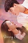 Drama China Shining Like You 2021 END