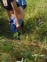 Si Centil Minta Tolong Cebokin Sama Tukang Kebun