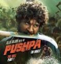 Pushpa the Rise 2021