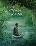 Anatomy of Time 2021