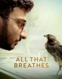 All That Breathes 2022