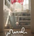 Marcel the Shell with Shoes On 2022
