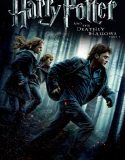 Harry Potter and the Deathly Hallows Part 1 2010