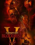 Subspecies V Blood Rise 2023