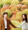 Drama China Love is Panacea 2023