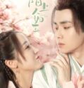 Drama China Special Lady 2023