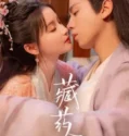 Drama China The Divine Healer 2024