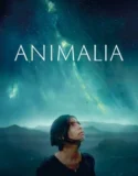 Animalia 2023