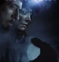 Arctic Hollow 2024