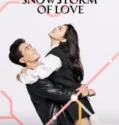 Drama China Amidst a Snowstorm of Love 2024