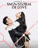 Drama China Amidst a Snowstorm of Love 2024