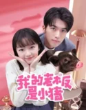 Drama China My Piggy Boss 2024