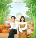 Drama China Dont Disturb Me Farming Subtitle Indonesia 2024