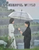 Drama Korea Wonderful World Subtitle Indonesia 2024