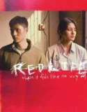 RedLife (2024) Sub Indo