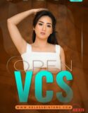 Semi Indonesia OPEN VCS 2024