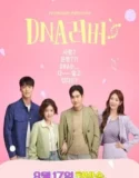 Drama Korea DNA Lover Subtitle Indonesia 2024