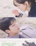 Drama Korea Serendipitys Embrace Subtitle Indonesia 2024