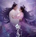 Legend of Mermaid Human Love (2024)