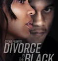 Tyler Perrys Divorce in the Black (2024)