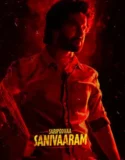 Saripodhaa Sanivaaram (2024) Sub Indo