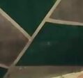 Bokep Indo Live ABG Toge Cantik Dientot di Kosan