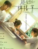 Film I am the Secret in Your Heart (2024) Sub Indo
