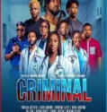 Film Sub Indo Criminal (2024)