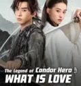 Film Sub Indo The Legend of Condor Hero What is Love (2025)