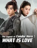 Film Sub Indo The Legend of Condor Hero What is Love (2025)