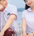 Film LK21 You Are the Apple of My Eye (2025)