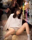 Jav Sub Indo Seorang Mahasiswi
