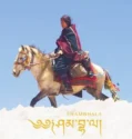 Shambhala (2024)