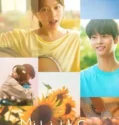 Midnight Sun (2025)