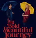 A Big Bold Beautiful Journey (2025)