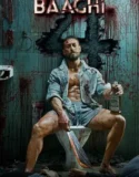 Baaghi 4 (2025)