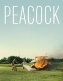 Peacock (2025)