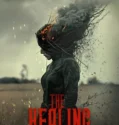 The Healing (2025)