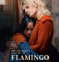 The Mysterious Gaze of the Flamingo (2025)