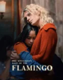 The Mysterious Gaze of the Flamingo (2025)