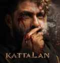 Kattalan (2026)