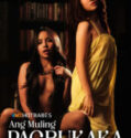 Viva Hot Babes Muling Pagbukaka (2026)