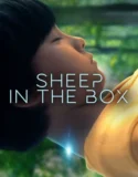Sheep in the Box (2026)