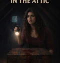 The Box in the Attic (2026)