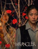 Wrangler (2026)
